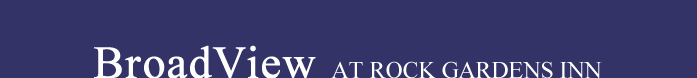 BroadView Title