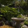 Garden Birdbath