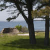 The Cookout Area