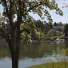 The Cove