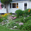 The Rock Gardens